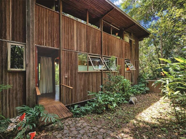 La photo 8.jpg a été réduite de 96.81 % le Quarta-feira 01 Abril 2026 à 09:04 par Photo Réducteur v4.10 à télécharger sur http://www.emjysoft.com/