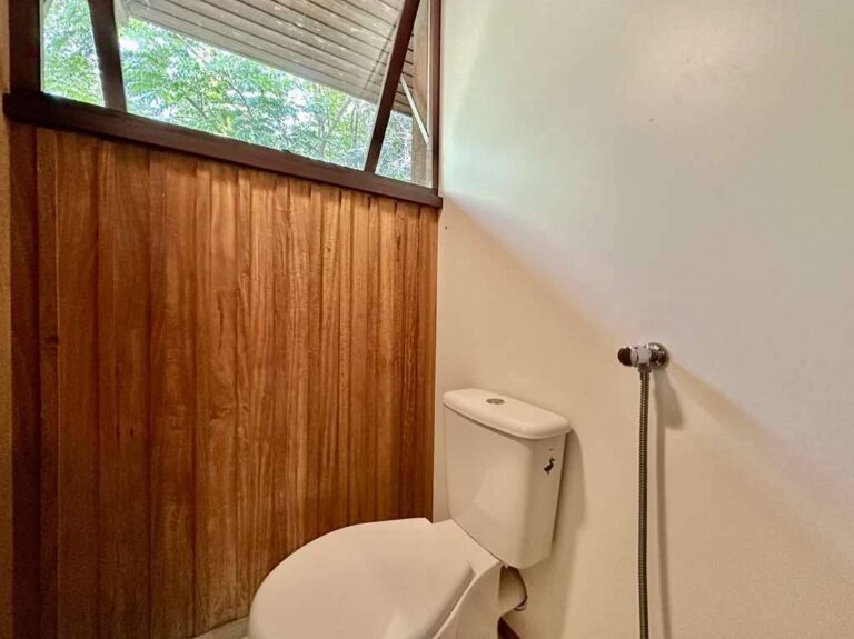 La photo 41.jpg a été réduite de 97.75 % le Quarta-feira 01 Abril 2026 à 09:04 par Photo Réducteur v4.10 à télécharger sur http://www.emjysoft.com/