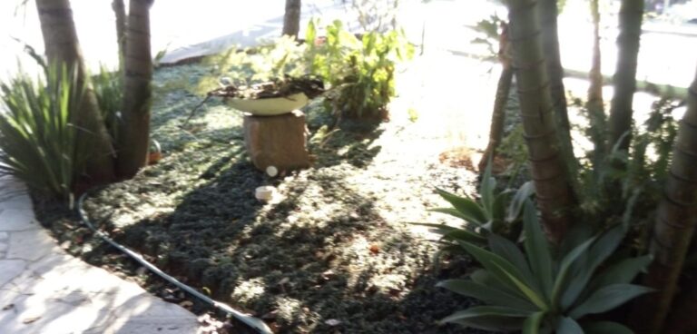 Screenshot_20260408_094837_Chrome