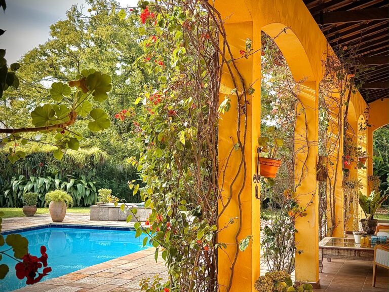 IMG_1597