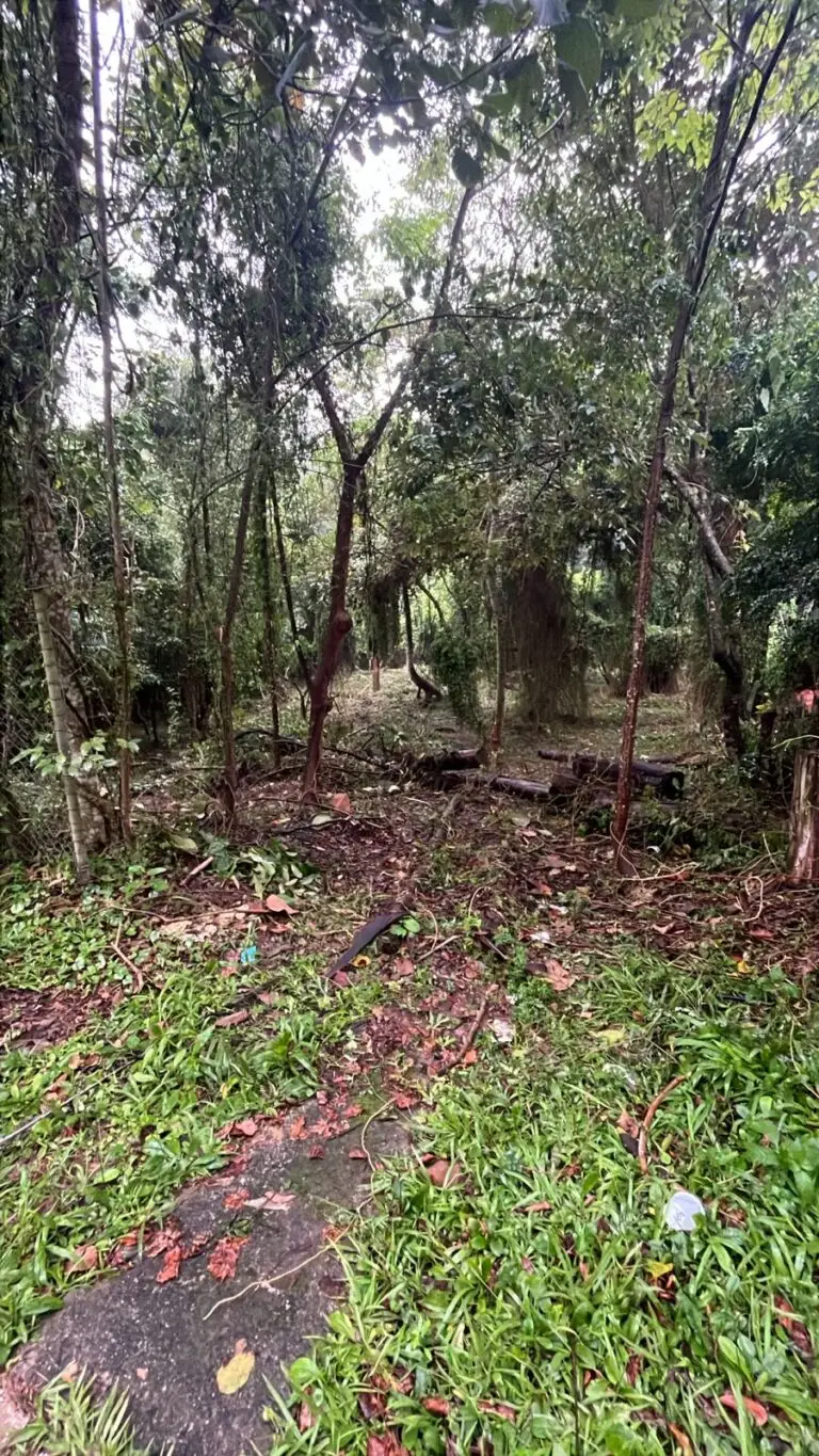 IMG-20260723-WA0001