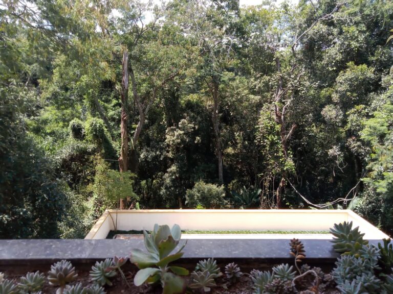 IMG-20260726-WA0018