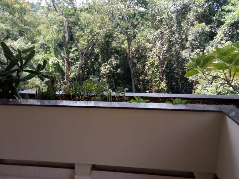 IMG-20260726-WA0022