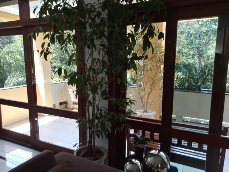 IMG-20260726-WA0033