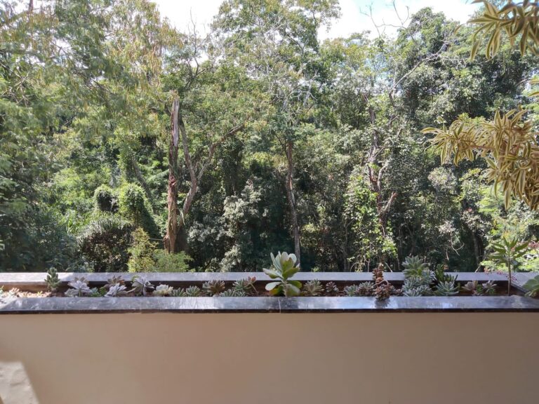 IMG-20260726-WA0035