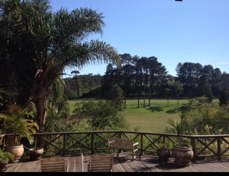 IMG-20260828-WA0018